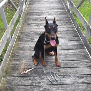 Meet your Posher, Angela